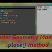 Place Attributes And Parameters In Tkinter With Uses Place Geometry Manager In Tkinter Python