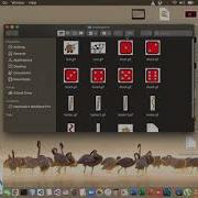 Python Using Ludo Game With Source Code Live Computer Science Engineering Student Best Project