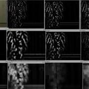 A Concurrent Real Time Biologically Inspired Visual Object Recognition System