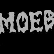 AMOEBE DEMO