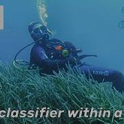 Asmr Coding K Nn Classifier In SQLite Asmr Coding Programming Notalking Sql