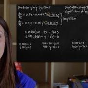 Predator Prey Systems KristaKingMath