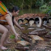 The Girl Created A Unique Fish Trap By Using Corn And Eggs As Bait To Lure Fish Into The Trap