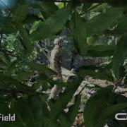 EA Crysis Tech Video 2