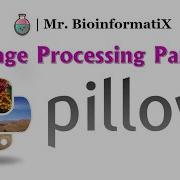 Pillow Library Part 1 Image Processing And Manipulation Python For Beginners