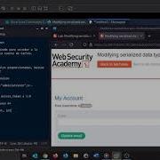 Lab Modifying Serialized Data Types