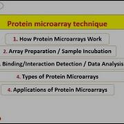 Protein Microarray Technique Microarray Protein Techniques Laboratory Trending