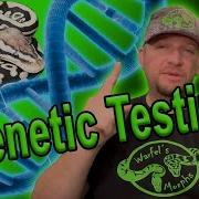Ball Python Genetic Testing