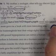 Complements Practice 2
