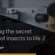 Bringing The Secret Sound Of Insects To Life VibroGo In David Attenborough S Secret World Of Sound