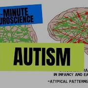 2 Minute Neuroscience Autism