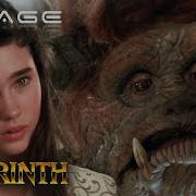 Freeing Ludo Labyrinth Voyage