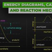 Energy Diagrams Catalysts And Reaction Mechanisms