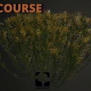Complete Foliage Tutorial Grass Bush Creation SpeedTree For Unreal Engine 4H Full Course