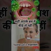 Toothbrush In Microscopes Toothbrush Under Microscope Facts Shorts Microscope Science Yt