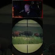 1 Lung 2 Brain Callofthewild Cotw Game Mrandmrswolfgaming Shorts