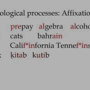 Inflectional Processes