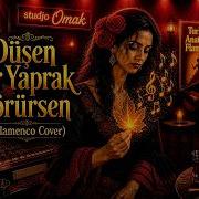 Düşen Yaprak Sonbahar Rüzgarları Dark Flamenco Guitar Cover
