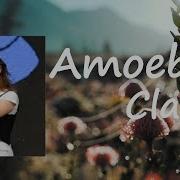 Clairo Amoeba Lyrics