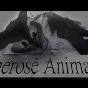 Vinerose Animatic Warrior Cats Oc