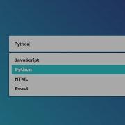 Automatic Suggestions On Input Field Widget HTML CSS Vanilla Javascript