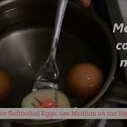 Eggsact Eggtimer