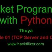 Module 01 TCP Server And Client Communication Socket Programming With Python