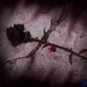 Evanescence Missing Demo Version