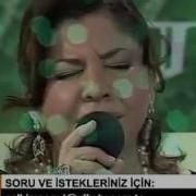 Çiğdem GÜRDAL Kurusa Fidanım
