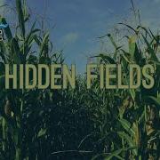 HORROR Hidden Fields