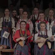 Я любила сокола