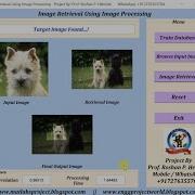 Image Retrieval Using Image Processing Matlab Project With Source Code