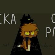 Laika OC PMV