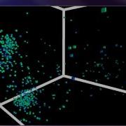 Boid Flocking Demo