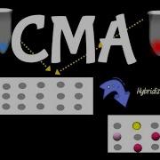 Chromosomal Microarray Test Chromosomal Microarray Analysis CMA Test