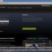 NEW 2014 Fake Steam Good