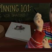 BUG PINNING 101 How To Pin A Lanternfly