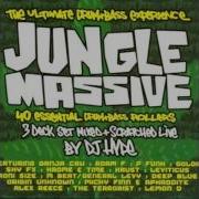 Jungle Massive DJ Hype CD1 Track 4