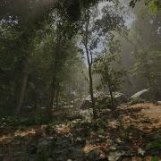 MAWI Realistic Forests UE5