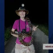 Woman Wins Prize For Capturing 16 Pythons During Florida Python Challenge