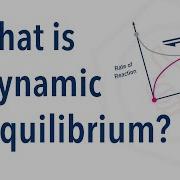 What Is Dynamic Equilibrium