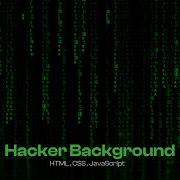 Real Hacker Background Animation Matrix Style Coding Visual Effect