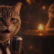 One Empty Chair The Last Song For Her Эмоциональный блюз Night Whiskers