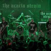 Modest Director The Acacia Strain July 21 2024