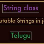 Immutable String In Java Telugu