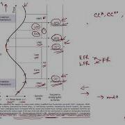 Week 12 Lecture 57 Sequence Stratigraphy VII