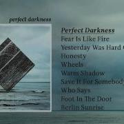 Fink Perfect Darkness