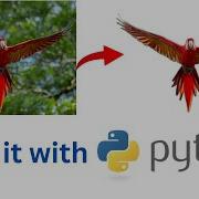 Remove Background From Any Image In Python For Beginners