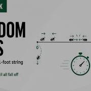 Random Ants Explaining Greenbook Probability Questions