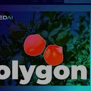 Polygon Annotation Using LinkedAI 3 Data Annotation Software